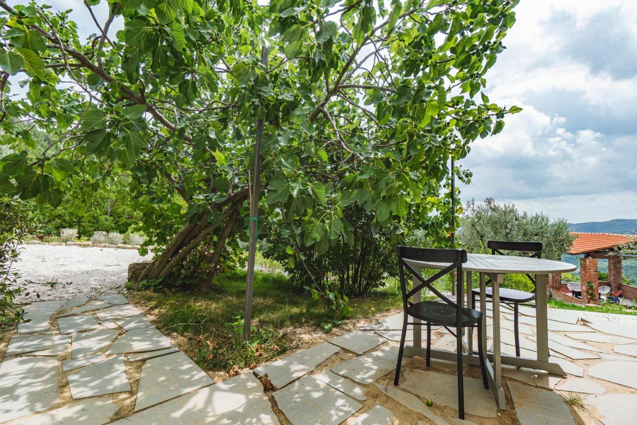Agriturismo Le Fonti Понтассьєве Екстер'єр фото